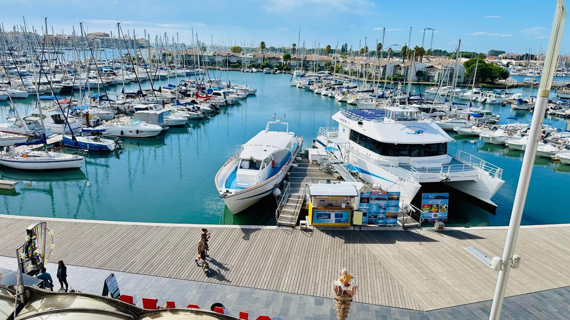 Studio Face Au Port آجد المظهر الخارجي الصورة